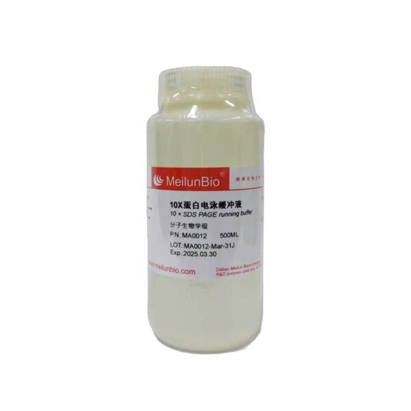 10X蛋白电泳缓冲液;SDS-PAGE电泳液(Tris-Gly, 10X)