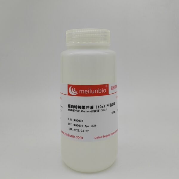 蛋白转移缓冲液（10x）不含SDS