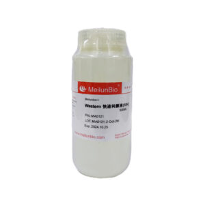 Meilunbio® Western快速转膜液(10X)