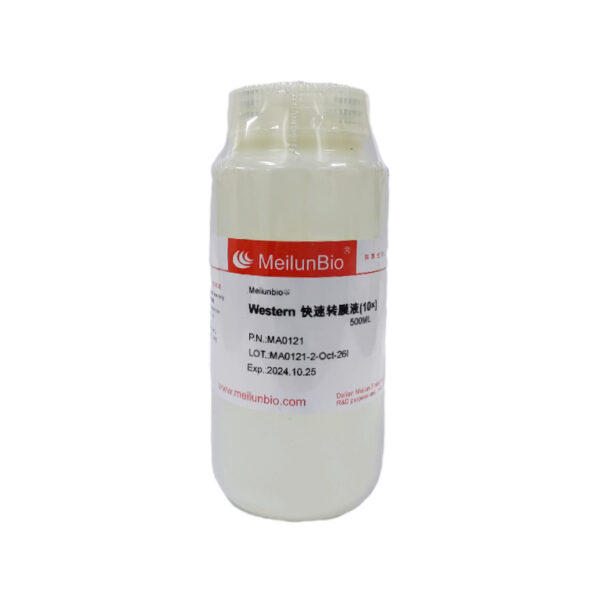 Meilunbio® Western快速转膜液(10X)
