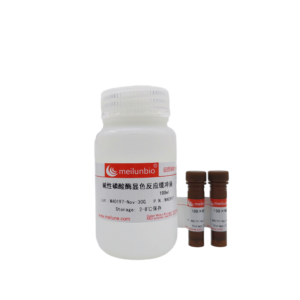 碱性磷酸酶显色试剂盒BCIP/NBT