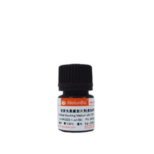 抗荧光衰减封片剂（含DAPI）