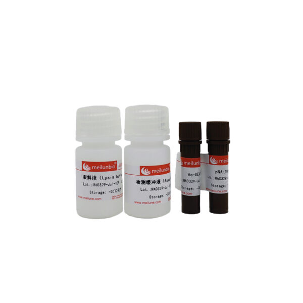 Caspase3/7活性检测试剂盒
