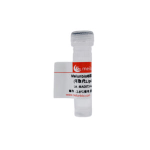 Meilunbio®脂质体基因转染试剂(可取代Lipo2000)