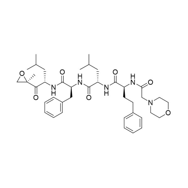 Carfilzomib/PR171