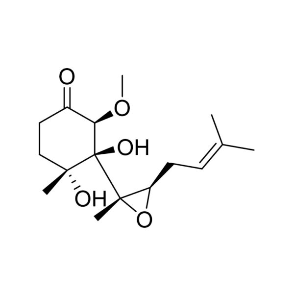 卵清蛋白；鸡蛋白蛋白