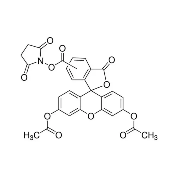 细胞增殖示踪荧光探针(CFDASE)