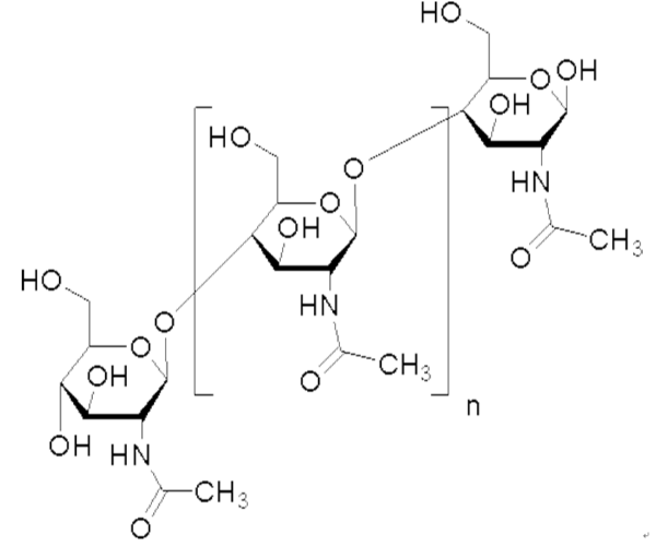 甲壳素；几丁质