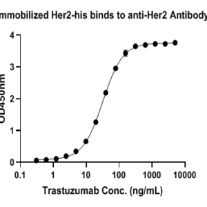 Trastuzumab