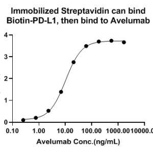 Avelumab