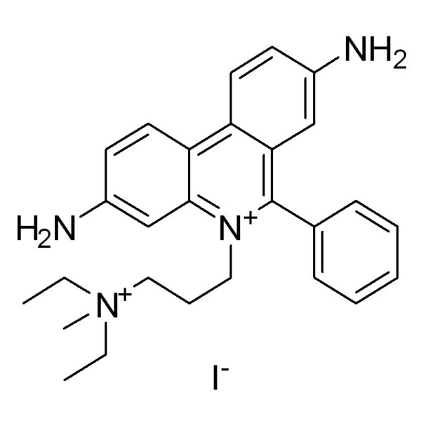 碘化丙啶(PI)