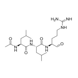 亮抑蛋白酶肽