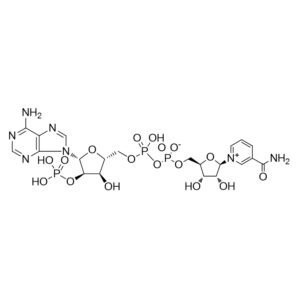 β-NADP;β-烟酰胺腺嘌呤二核苷酸磷酸;氧化型辅酶 II