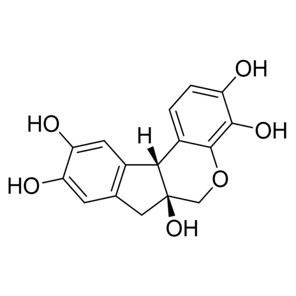 苏木色精，苏木素