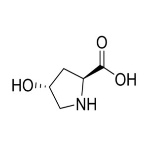 L-羟基脯氨酸(标准品)