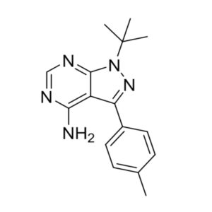 PP1