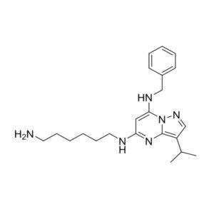 BS-181 HCl
