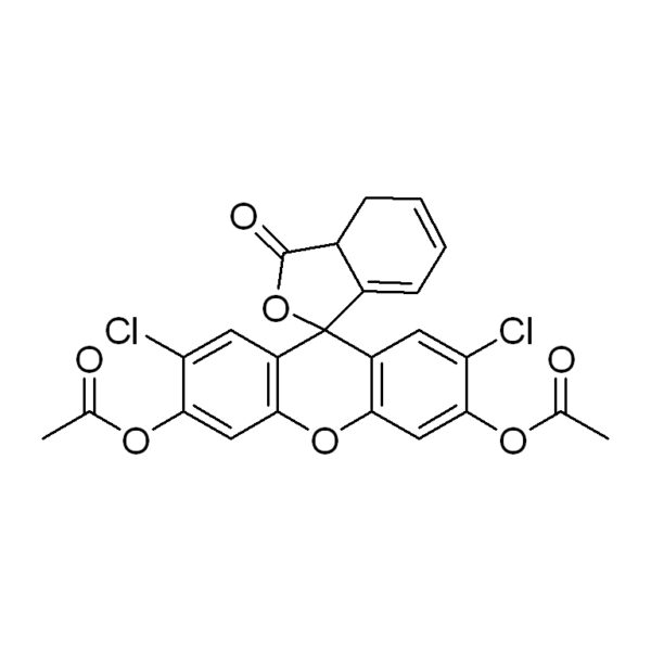 DCFH-DA活性氧ROS荧光探针；