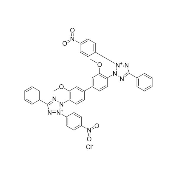 氯化硝基四氮唑蓝(NBT)