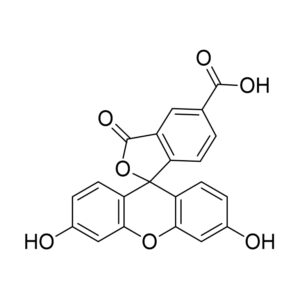 5-FAM ；5-羧基荧光素