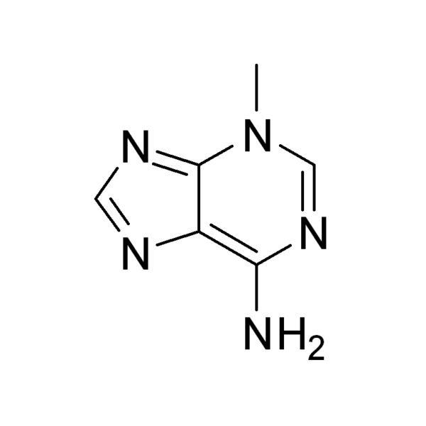 3-Methyladenine(3-MA)；细胞自噬抑制剂;6-氨基-3-甲基嘌呤