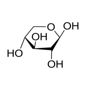 木聚糖酶