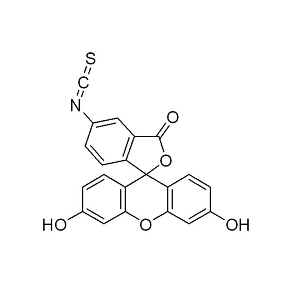 FITC;异硫氰酸荧光素