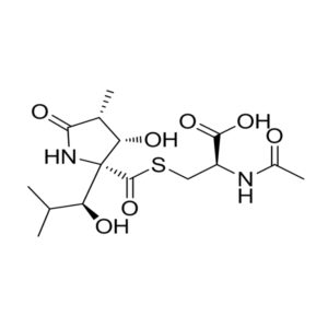 Lactacystin；Lacta