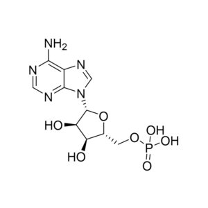 腺苷-5单磷酸(AMP)