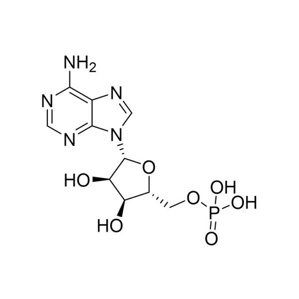 腺苷-5单磷酸(AMP)