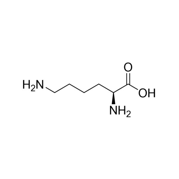 L-赖氨酸