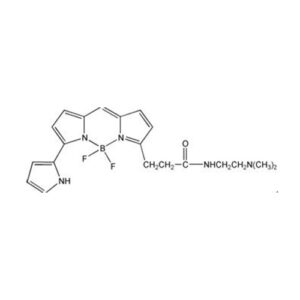 溶酶体红色荧光探针(LysoTracker Red DND-99)