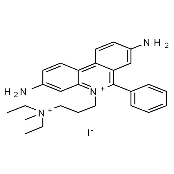 溶酶体红色荧光探针(LysoTracker Red DND-99)