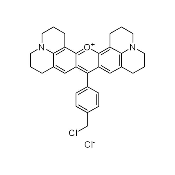 线粒体红色荧光探针(MitoTracker Red CMXRos)