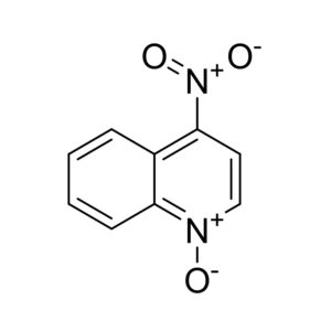 4-NQO；4-硝基喹啉-N-氧化物