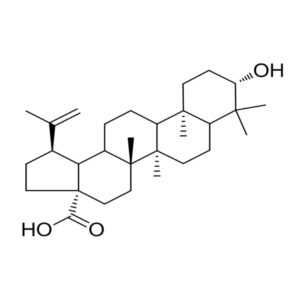 白桦脂酸(标准品)
