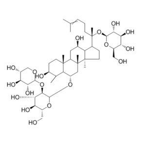 三七皂甙R1(标准品)