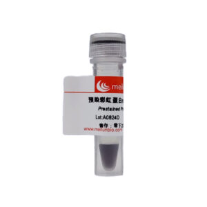 预染彩虹蛋白marker(40-300KD)