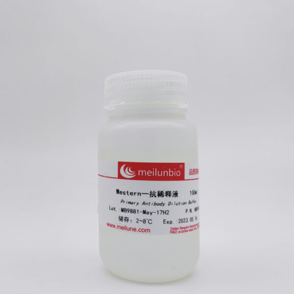 Western一抗稀释液
