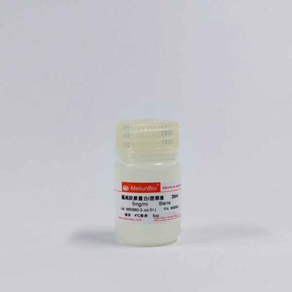鼠尾胶原蛋白I型溶液(5MG/ML) - 图片 2