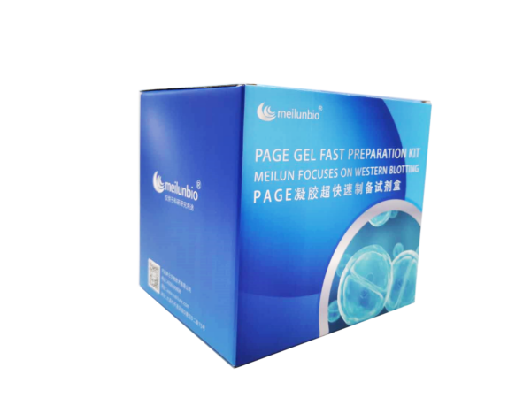 PAGE凝胶超快速制备试剂盒