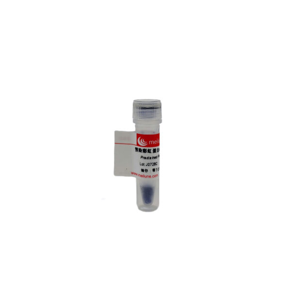 预染彩虹蛋白marker (10-190KD)