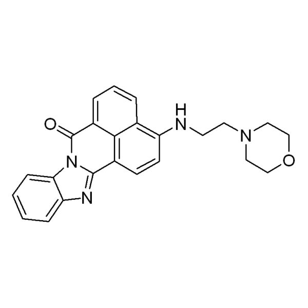 溶酶体绿色荧光探针(LysoSensor Green DND-189)