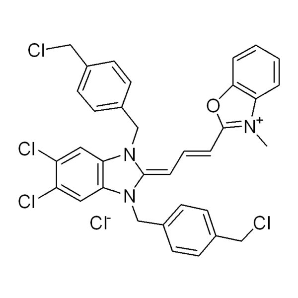 线粒体绿色荧光探针(MitoTracker Green FM)