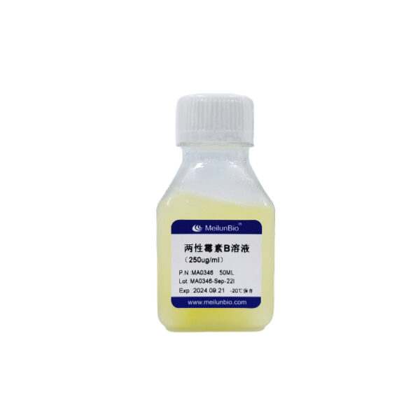 两性霉素B溶液（250ug/ml）