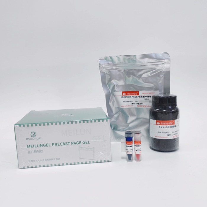 Blue/Clear非变性凝胶电泳试剂盒(4-16%预制胶)