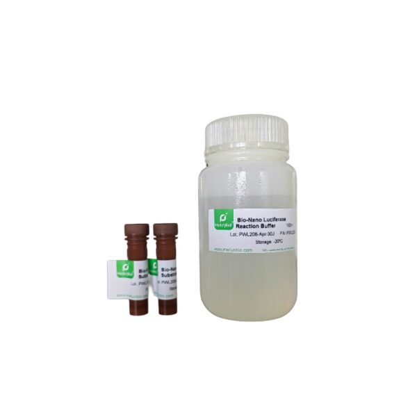 Bio-Nano萤光素酶报告基因检测试剂盒 - 图片 3