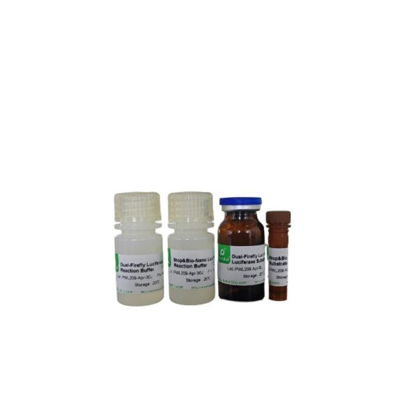 Bio-Nano&Firefly双萤光素酶报告基因检测试剂盒 - 图片 2
