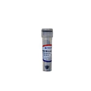 双色预染彩虹蛋白marker(12-170KD)