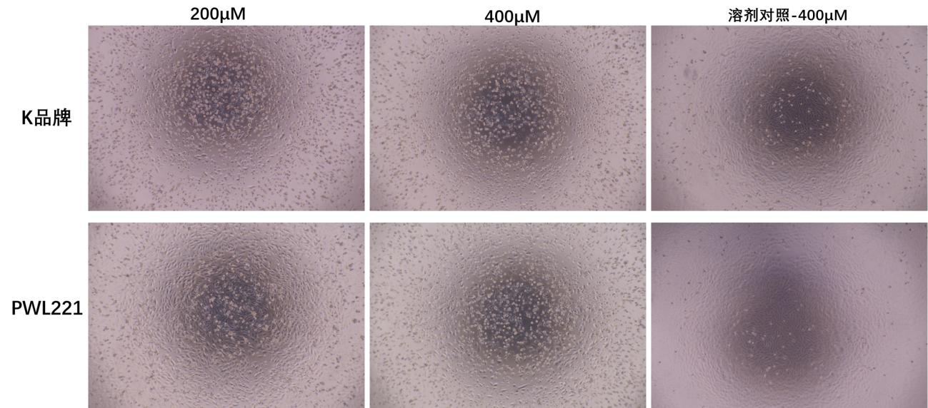 棕榈酸BSA高脂细胞添加剂